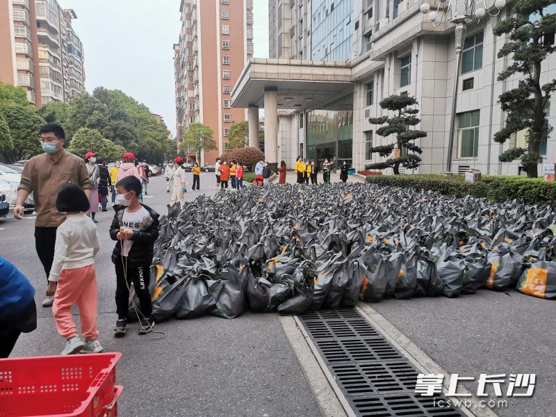 780份蔬菜包送到了湘林小區(qū)院內(nèi)。長(zhǎng)沙晚報(bào)實(shí)習(xí)生 羅楊 攝